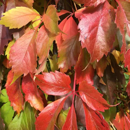 Appartement Theresia Garmisch-Partenkirchen